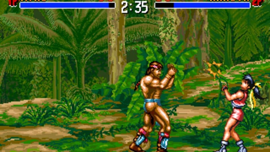 Tao Taido screenshot