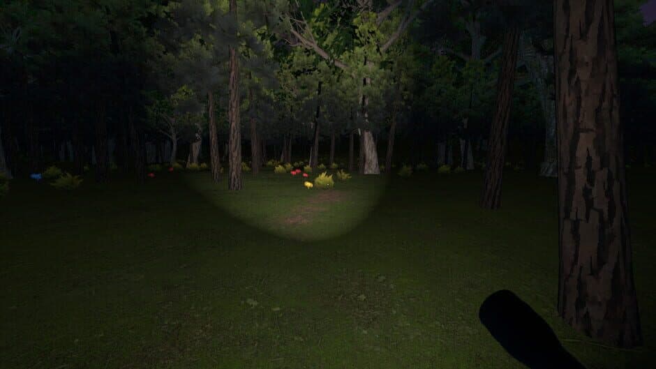 Disappeared screenshot