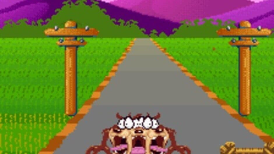 Taz-Mania screenshot