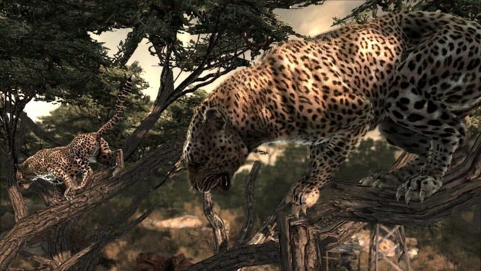 Cabela's Dangerous Hunts 2011 screenshot