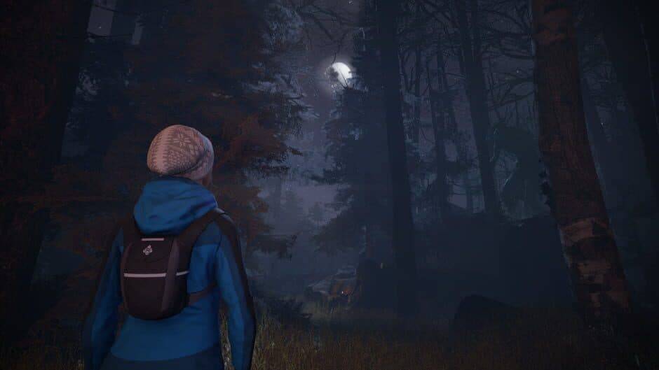 Through the Woods screenshot