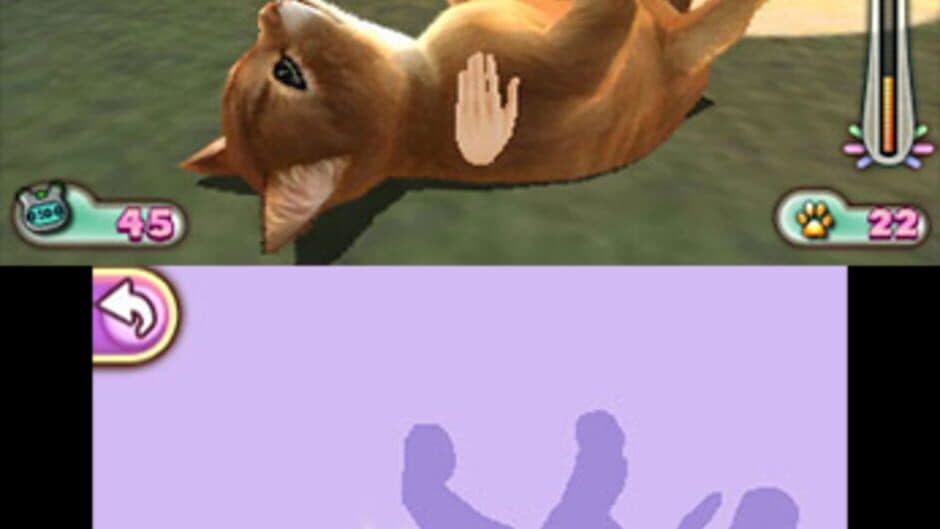 Pet Inn 3D screenshot