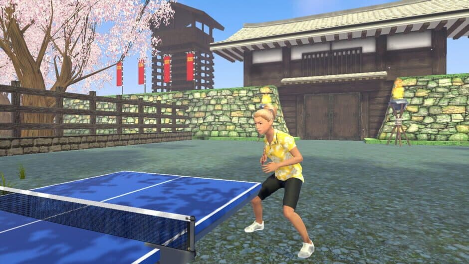VR Ping Pong Paradise screenshot