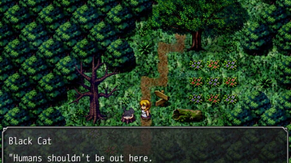 The Witch's House screenshot